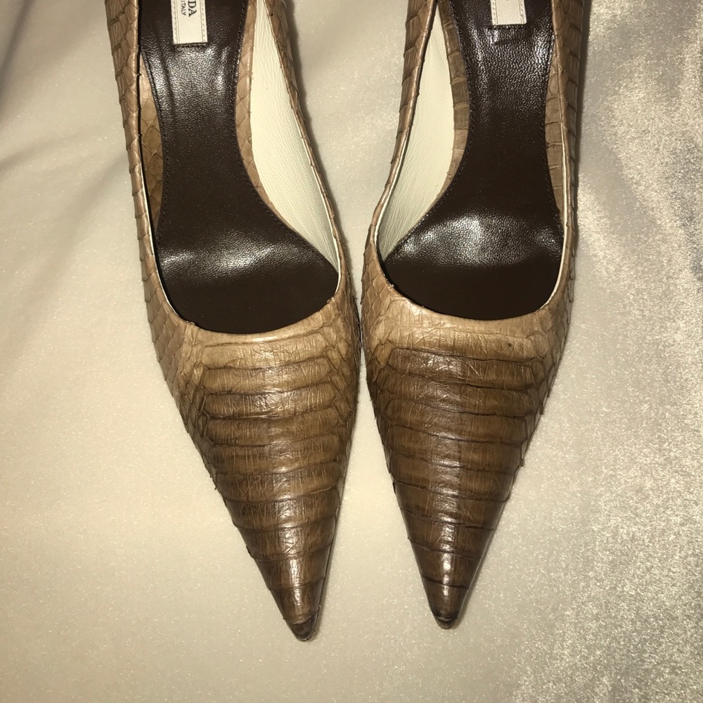 Prada Python Beige/Brown Pumps - image 3